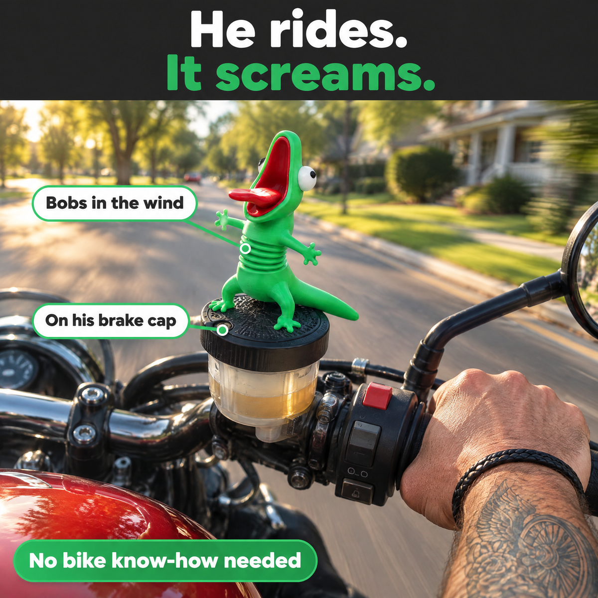 Green screaming lizard on a motorcycle brake fluid cap: he rides, it screams